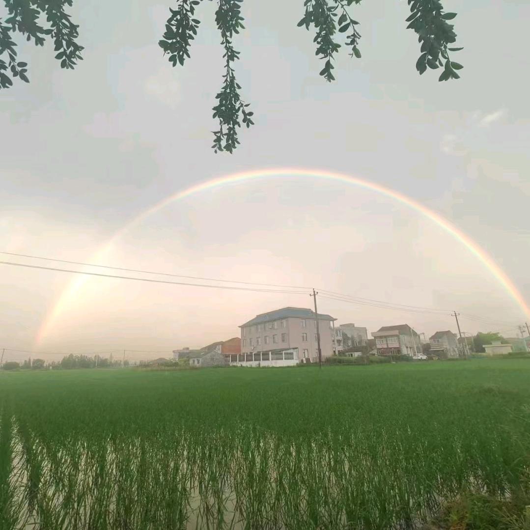 唯一