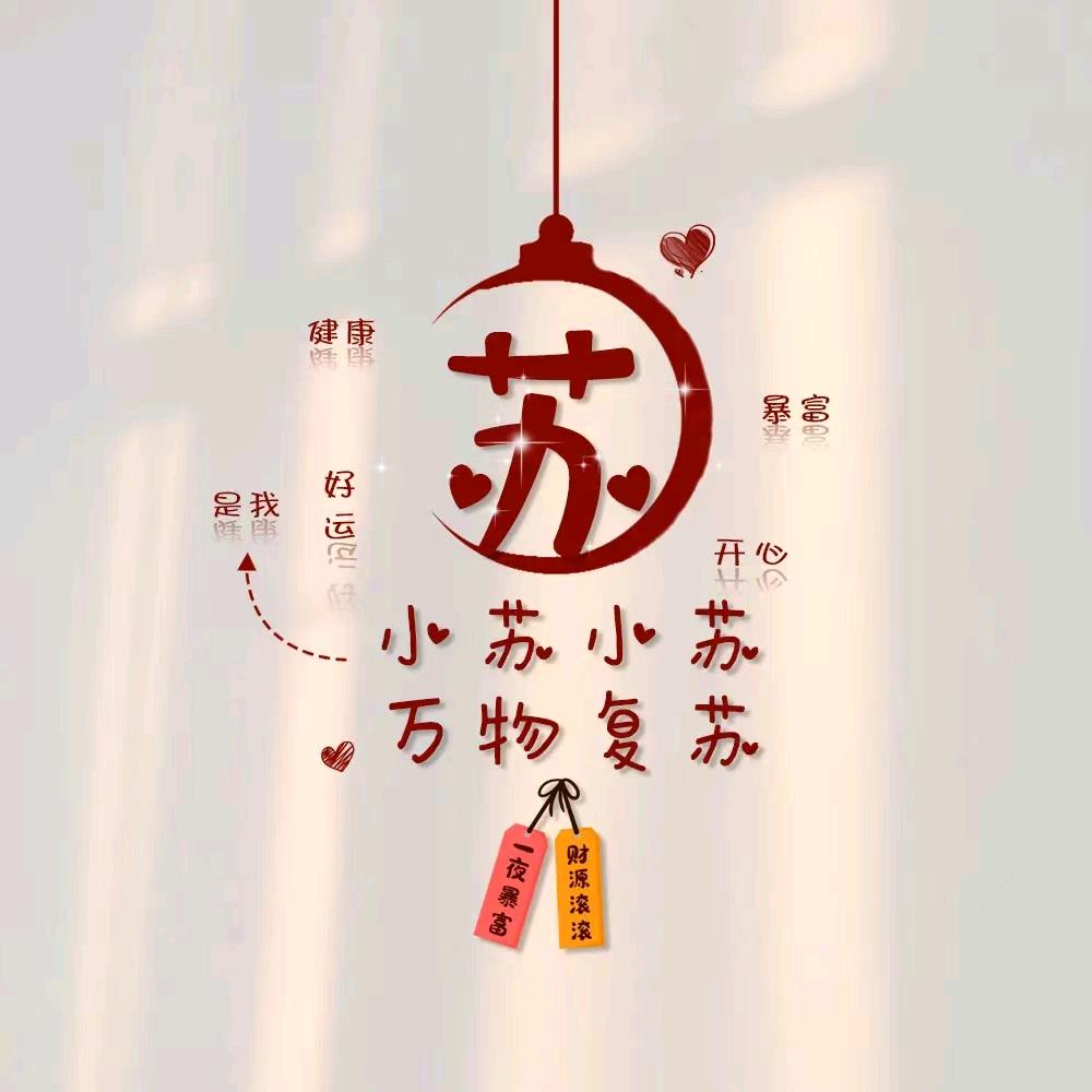 老苏老苏💕绝不认输