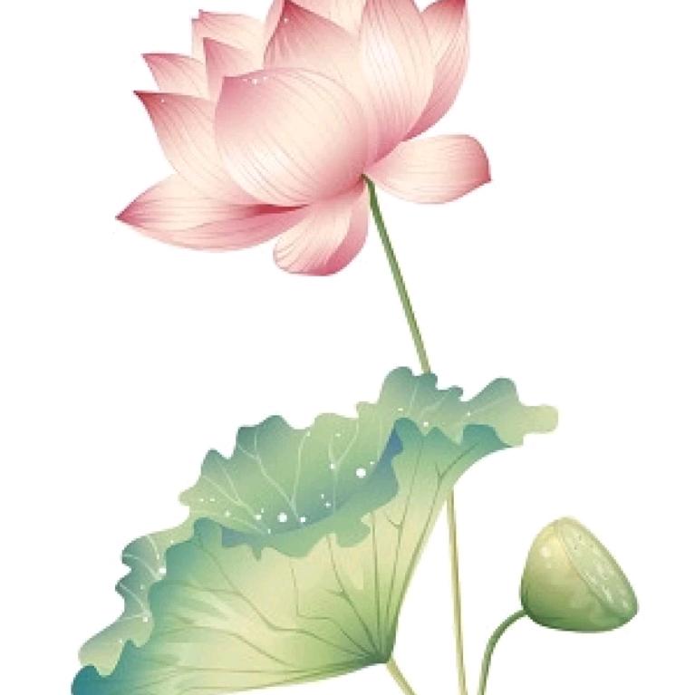 财源滚滚