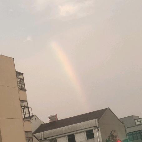雨后的彩虹2023