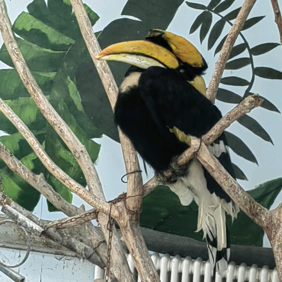 手机用户63521180585。智能