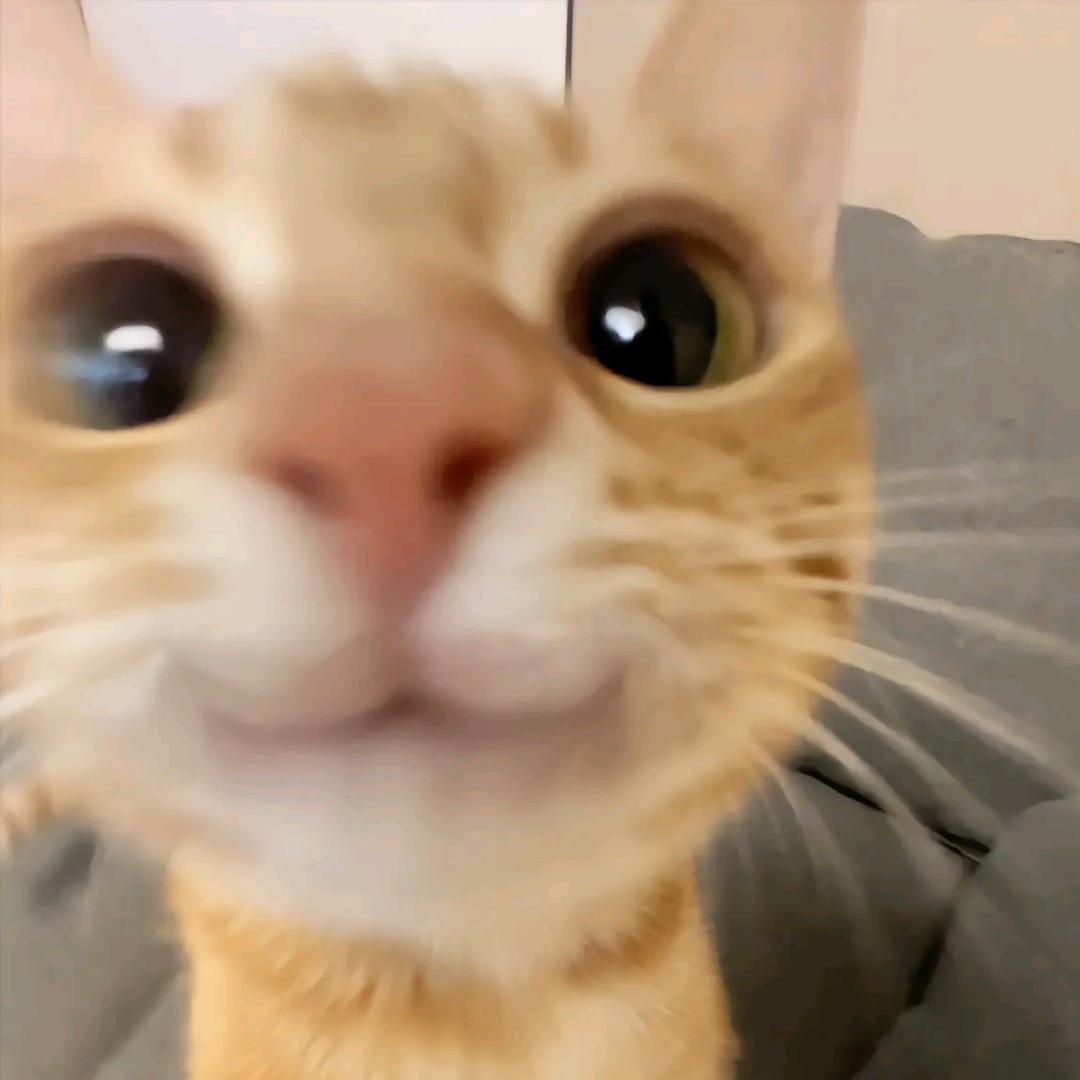源不圆😦