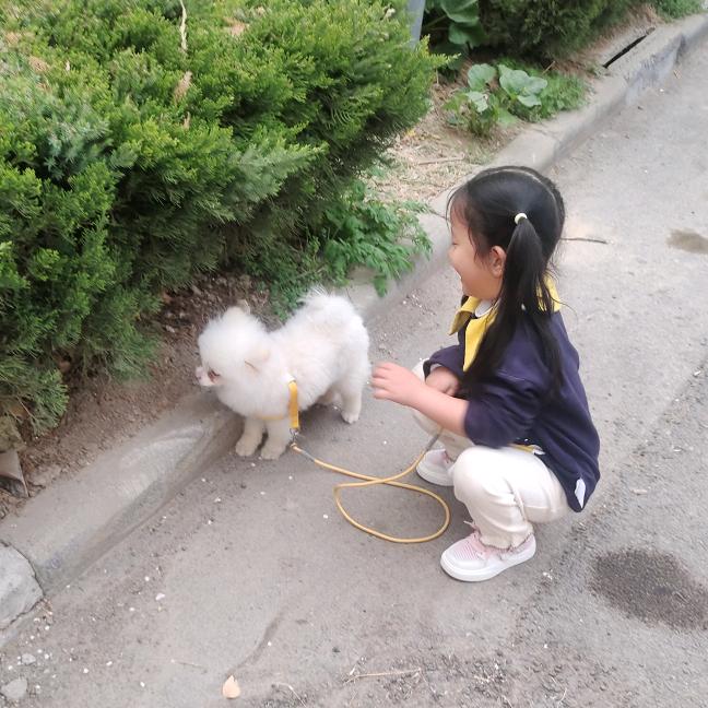 爱心