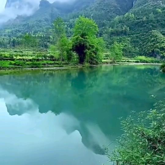 ⚕️小情⚕️《海上⚕️生⚕️明月》🌙