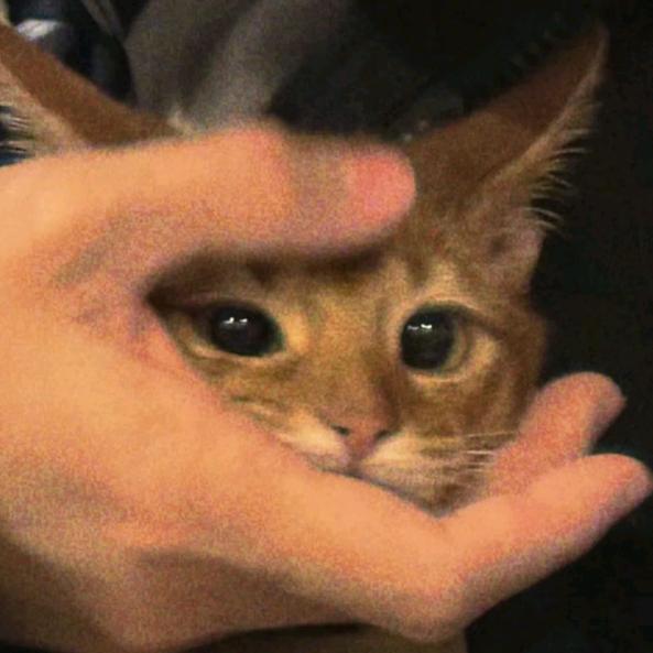 只想同你亂纏