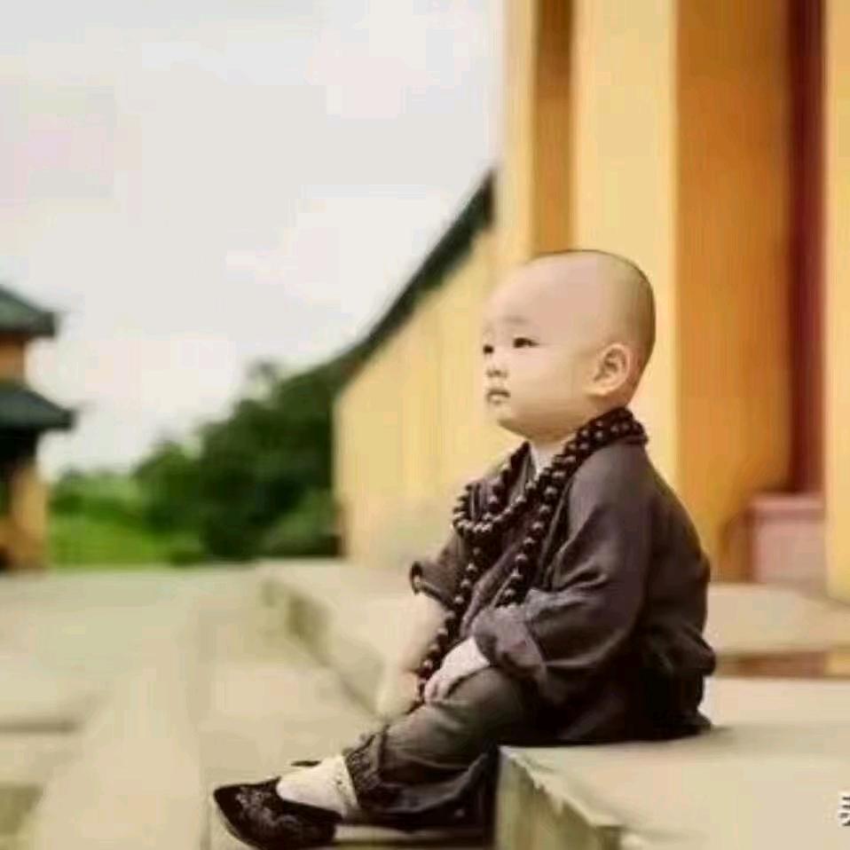 傲世孤少