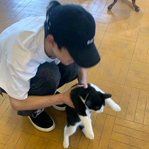 牙齿吃多木瓜酸