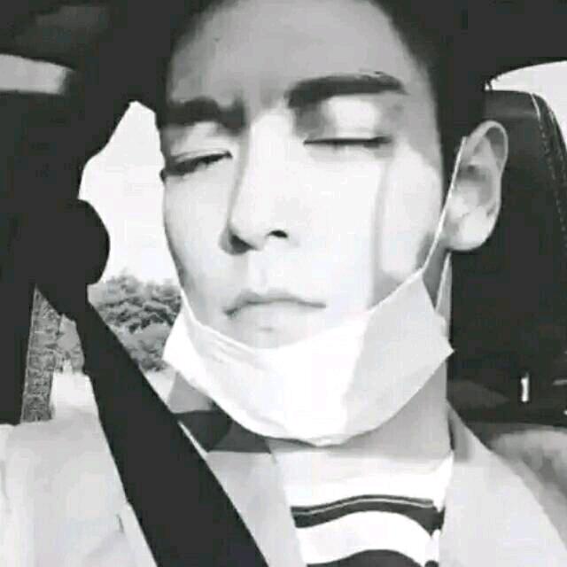 自由篮球，黑猫