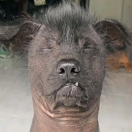 假仗义
