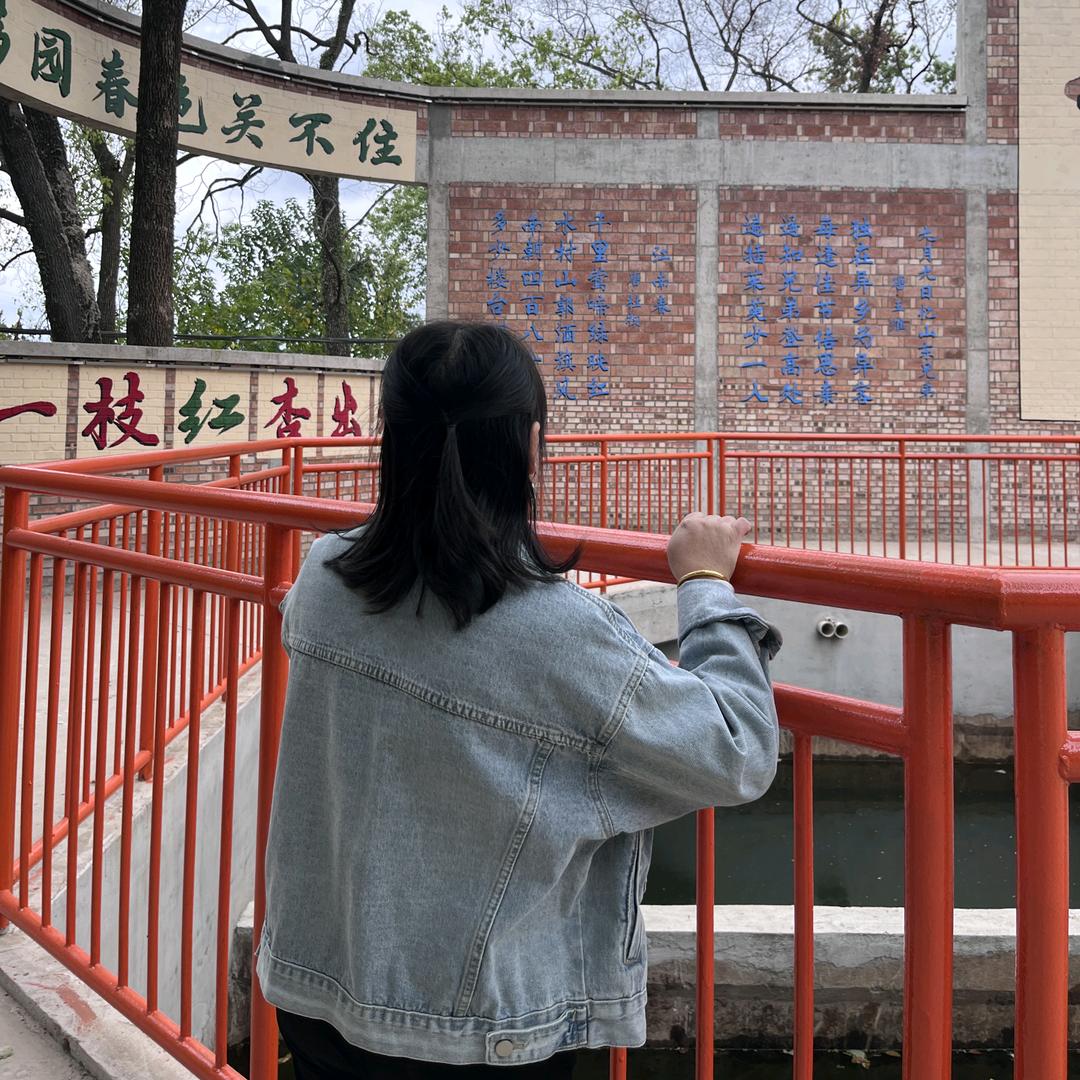 你若不离不弃，我愿陪伴一生（琴）