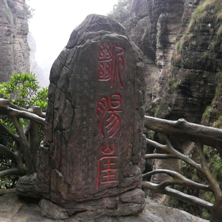 老林...林