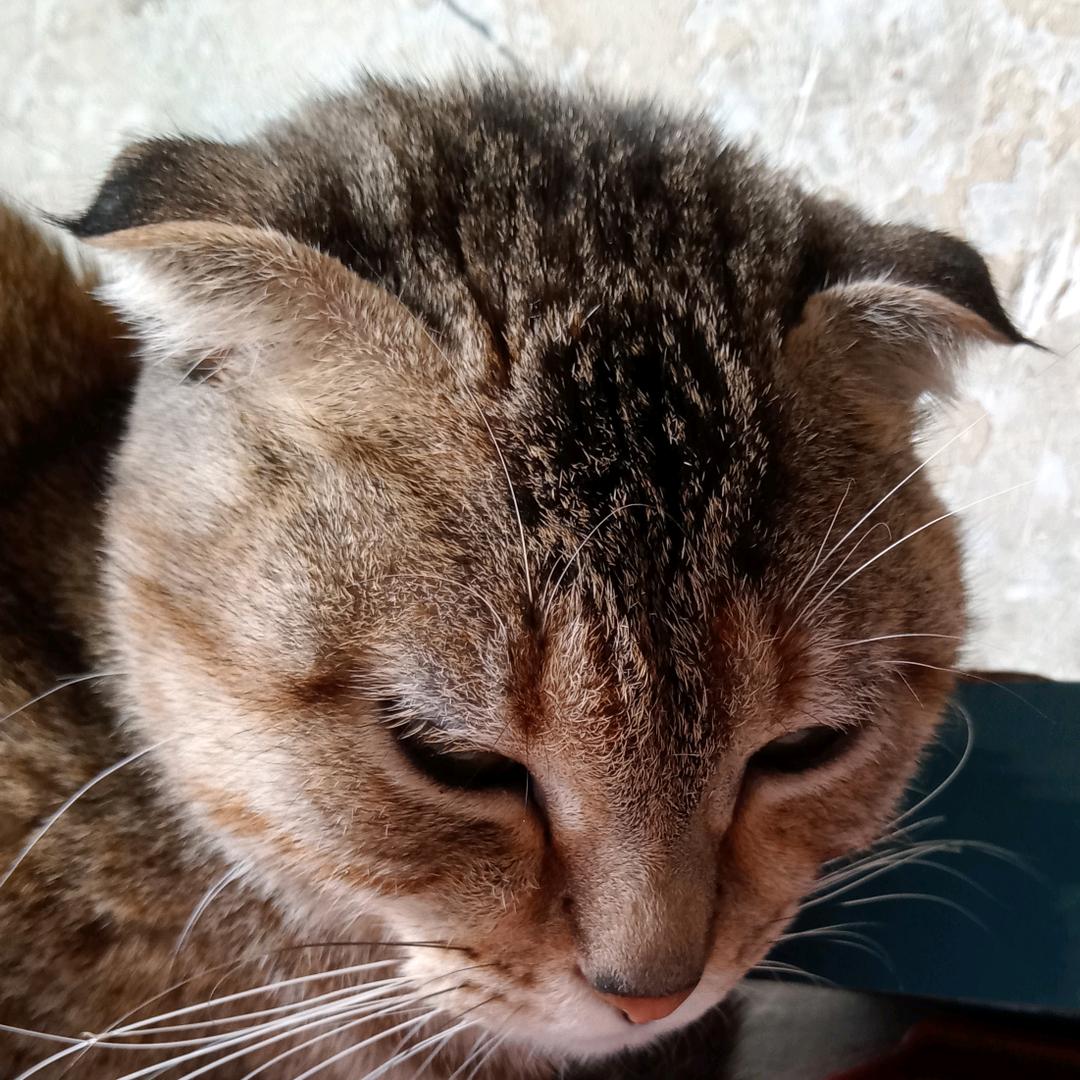 廉海天  薛崇岩  薛童星