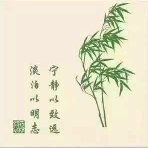 南柯一梦🦋✈️
