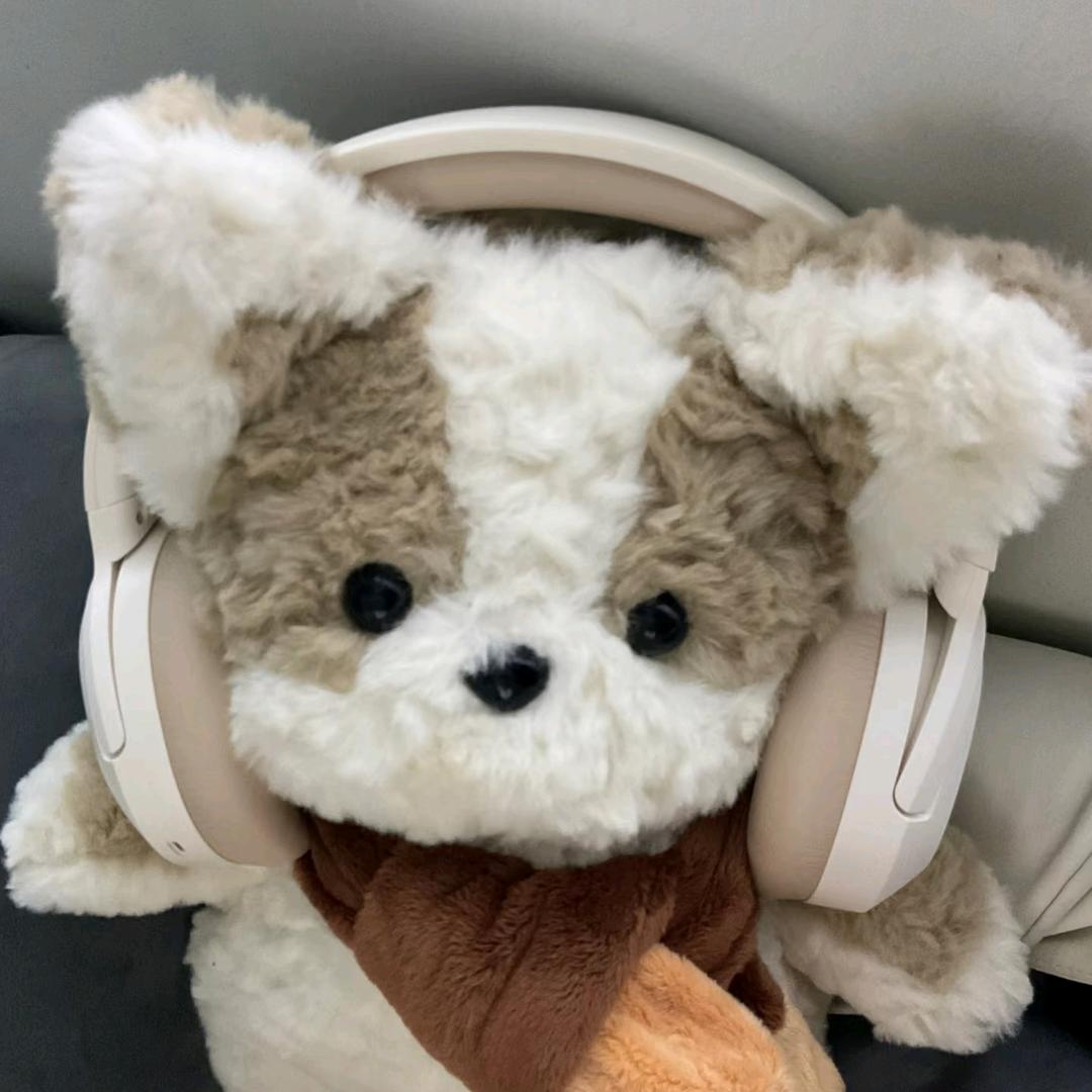 小雅的音频自留地