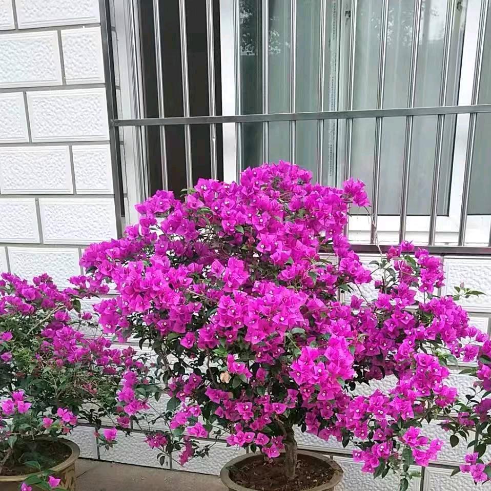椰岛风情