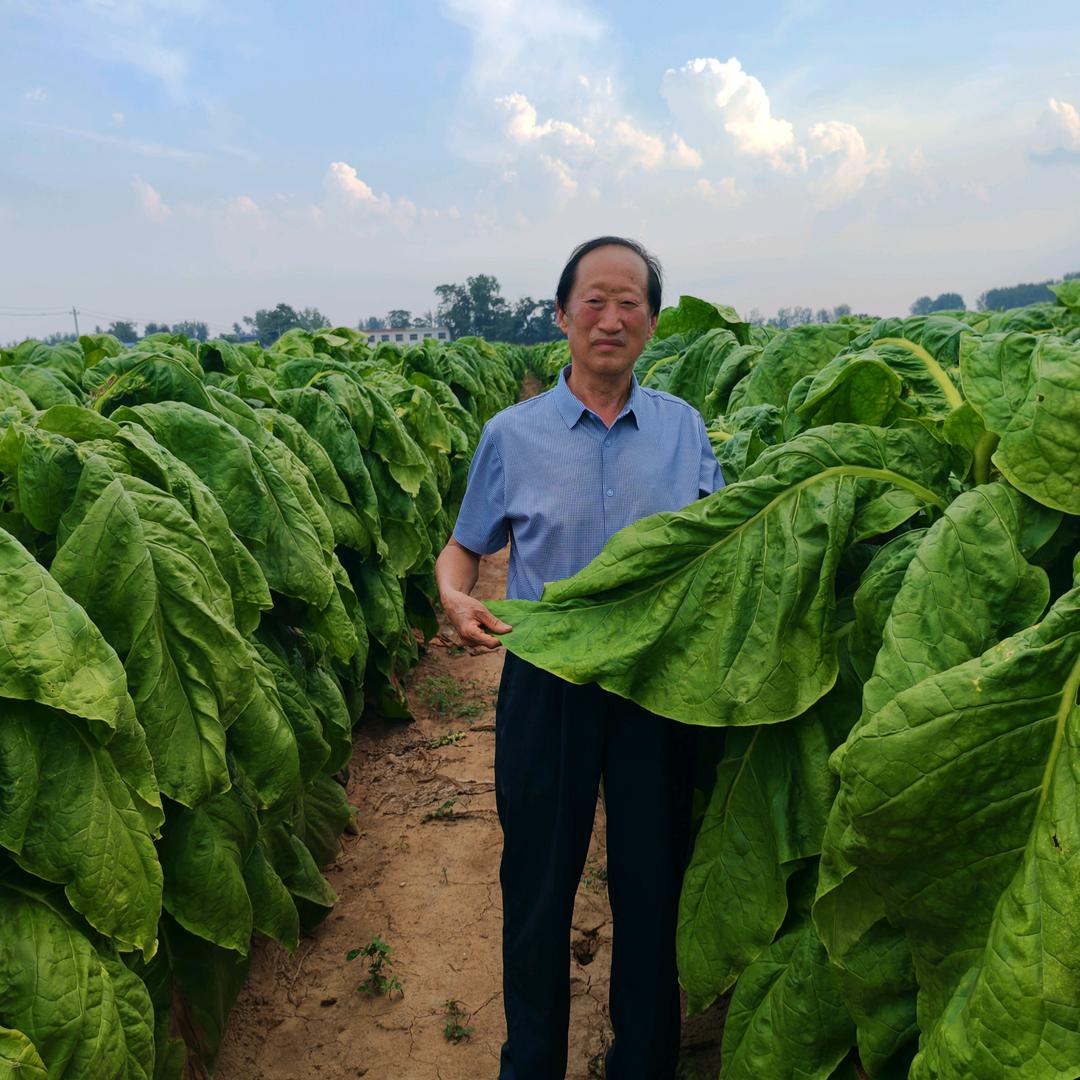 倍尔刘老师农技科普