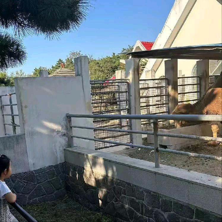 爱吃的老肥
