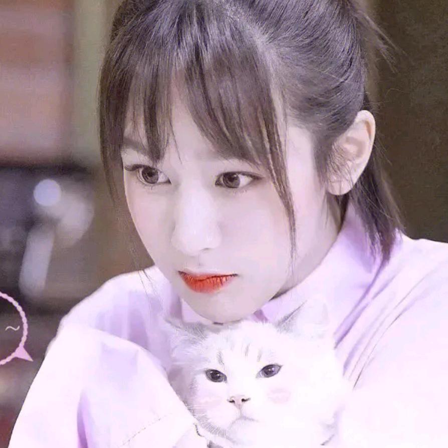 啾咪(˃ ⌑ ˂ഃ )