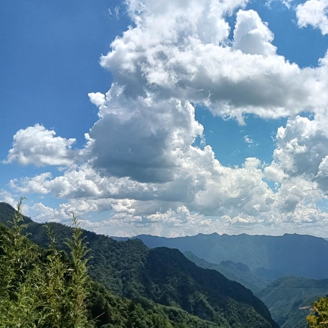 -轻渡