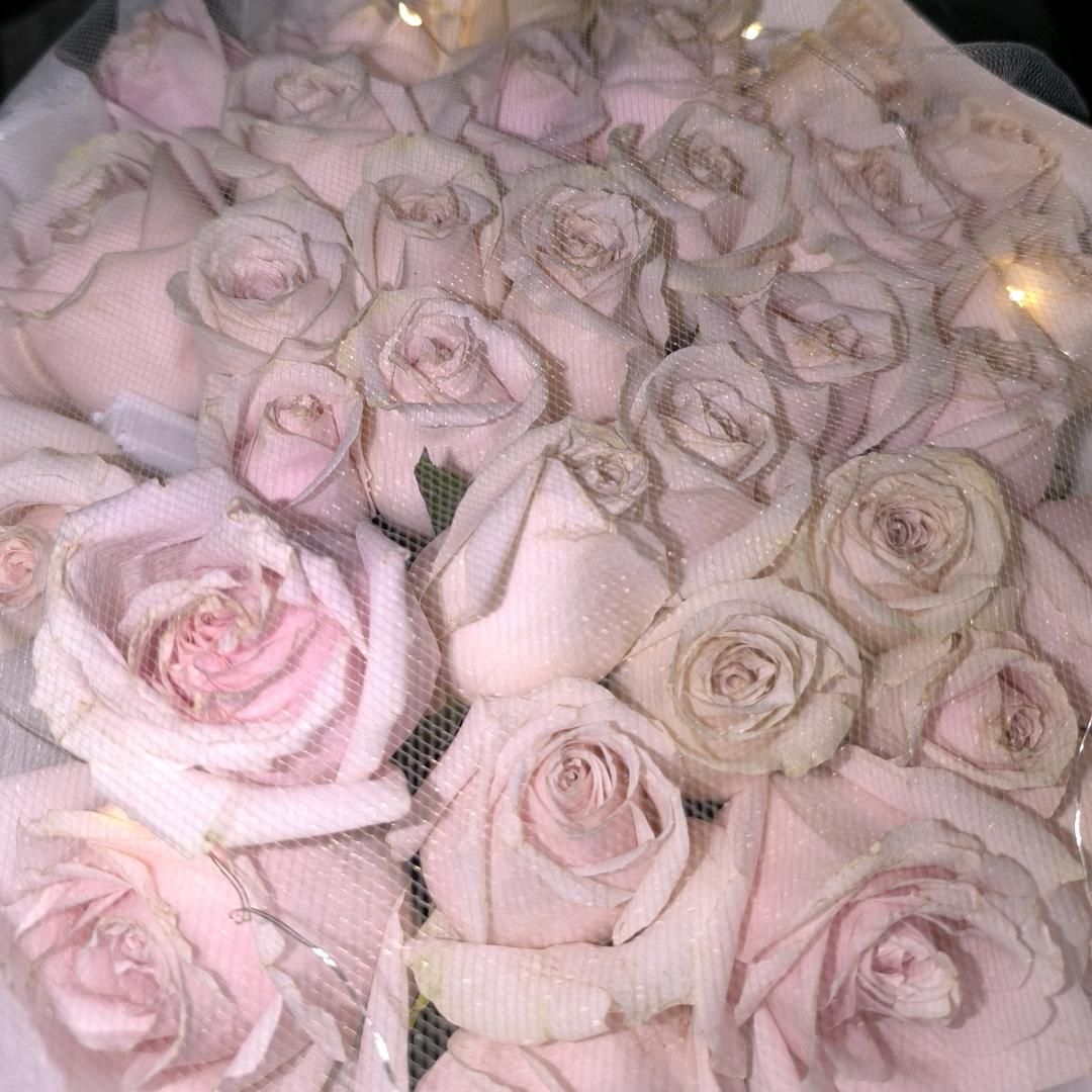 ✨狂炫狼牙土豆✨