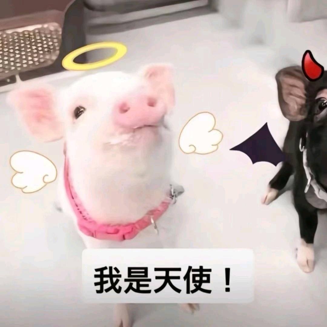 辉.