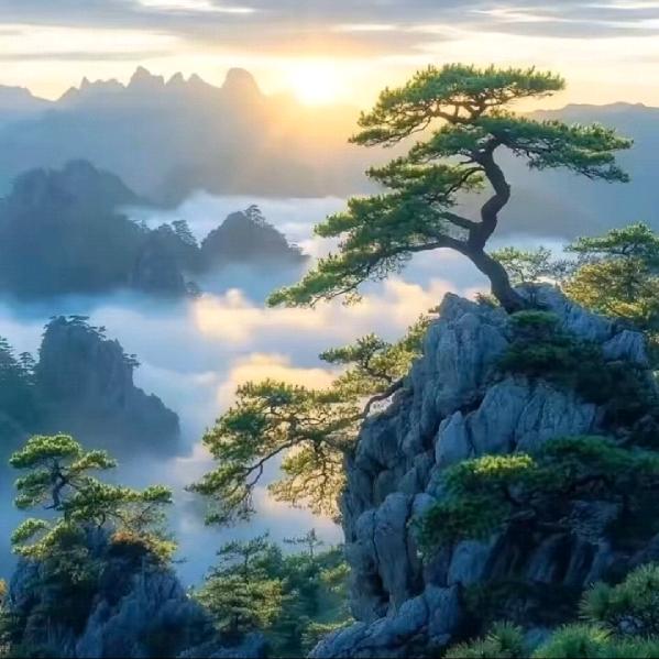 岁月静好（林工）