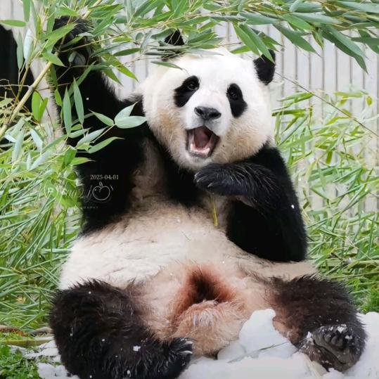 沐沐