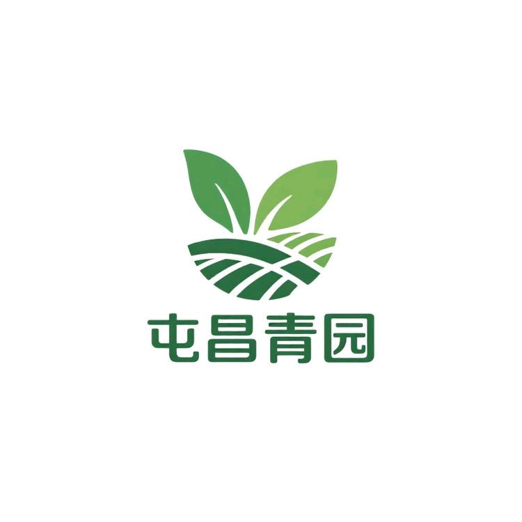 屯昌县青园农业青金桔/柠檬