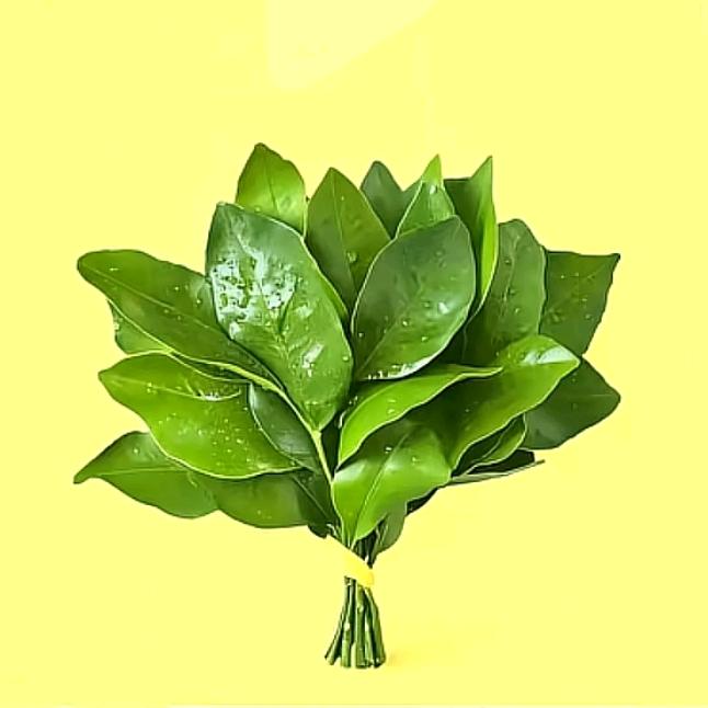 风玉轩翡翠珠宝