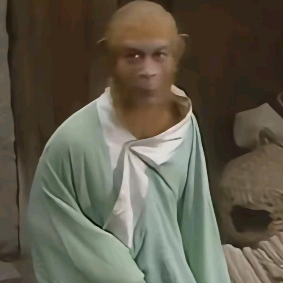 宝玉的龙猫