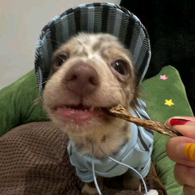 185宇宙无敌霹雳大帅哥