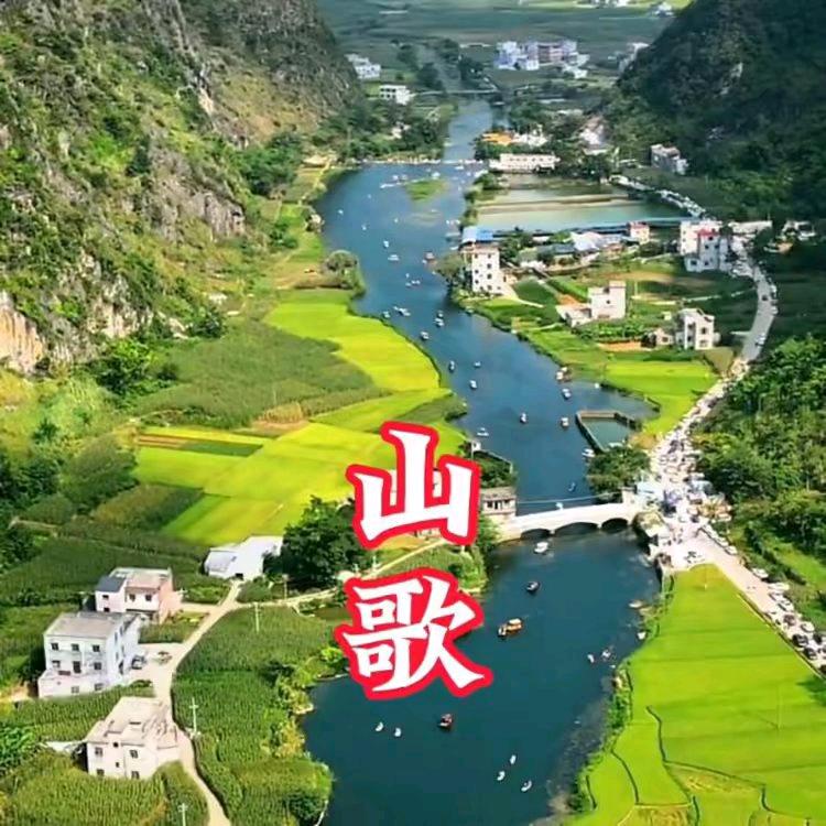 阿伟更新六点钟