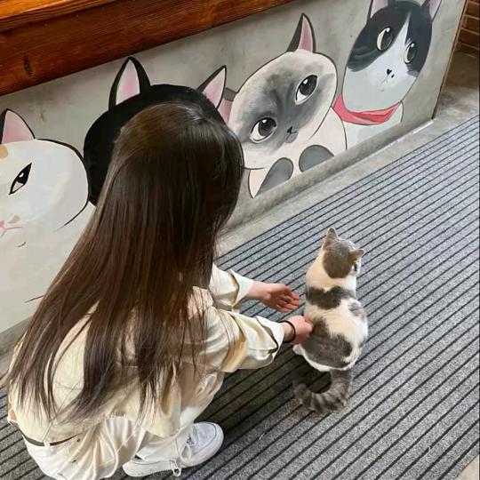 🐶