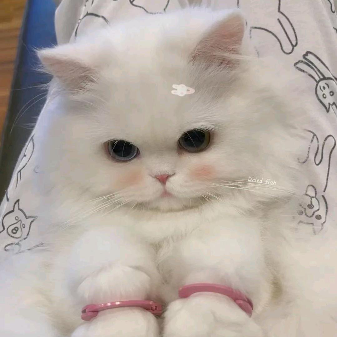 吾