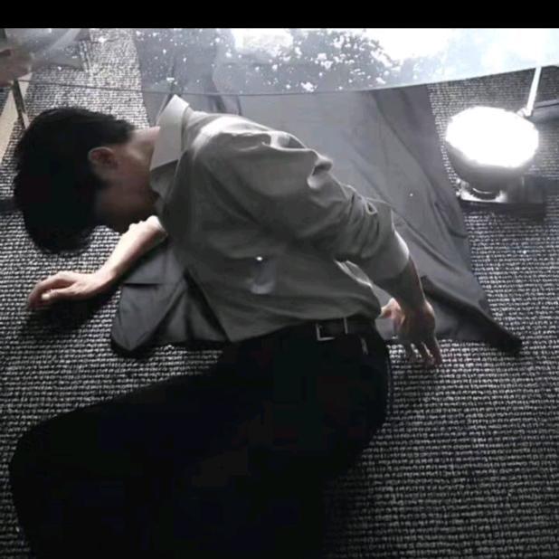 自由的风