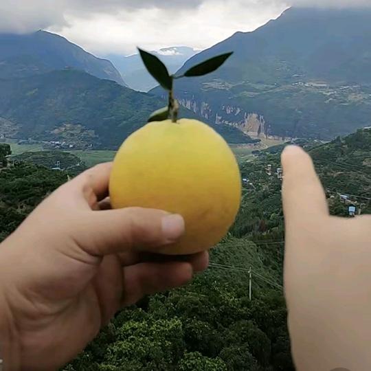 相遇缘
