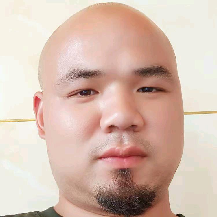 精忠报国