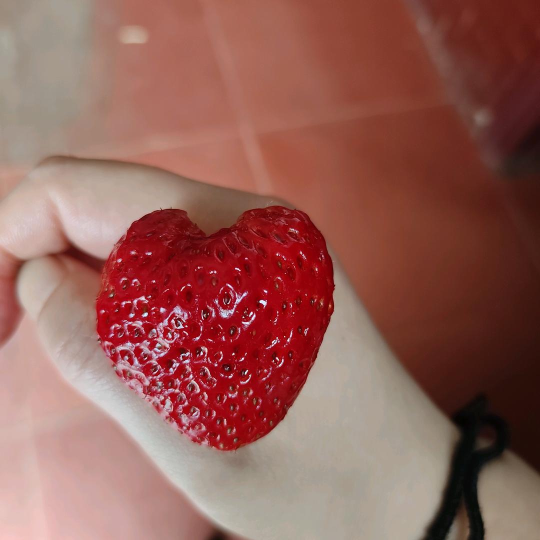 向日葵(˵¯͒〰¯͒˵)