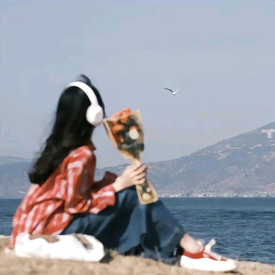 小杨同学/