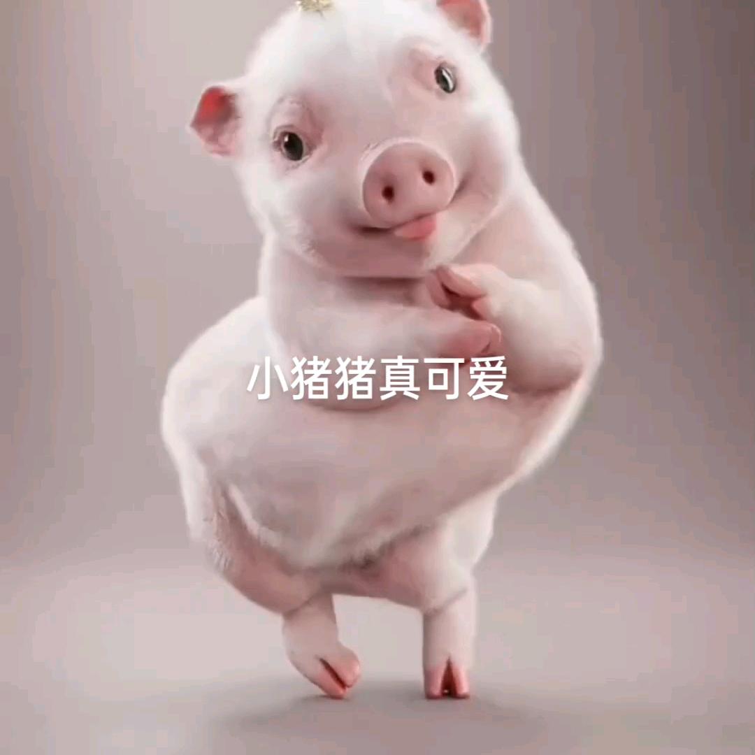 看看农村的生活