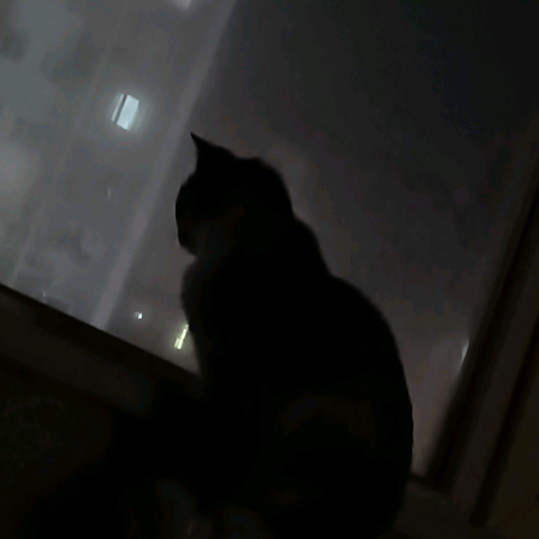 越来越好
