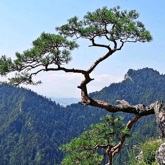 无限的动力。