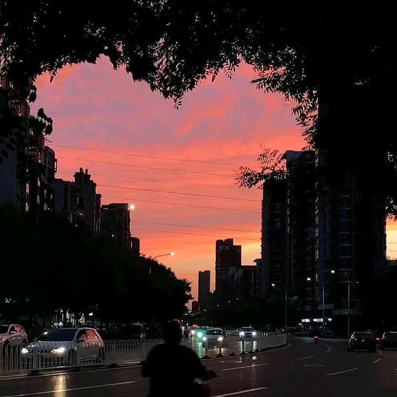 🌈武 武 武