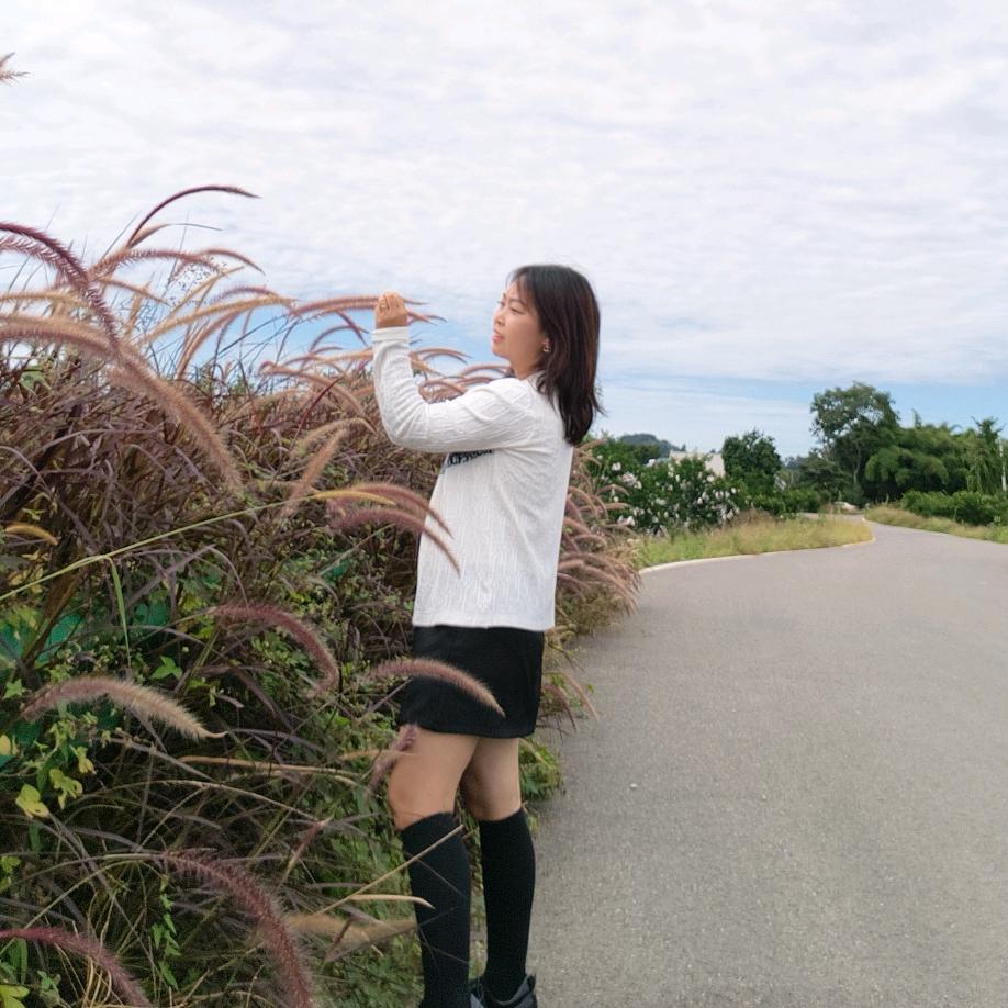 小飞飞