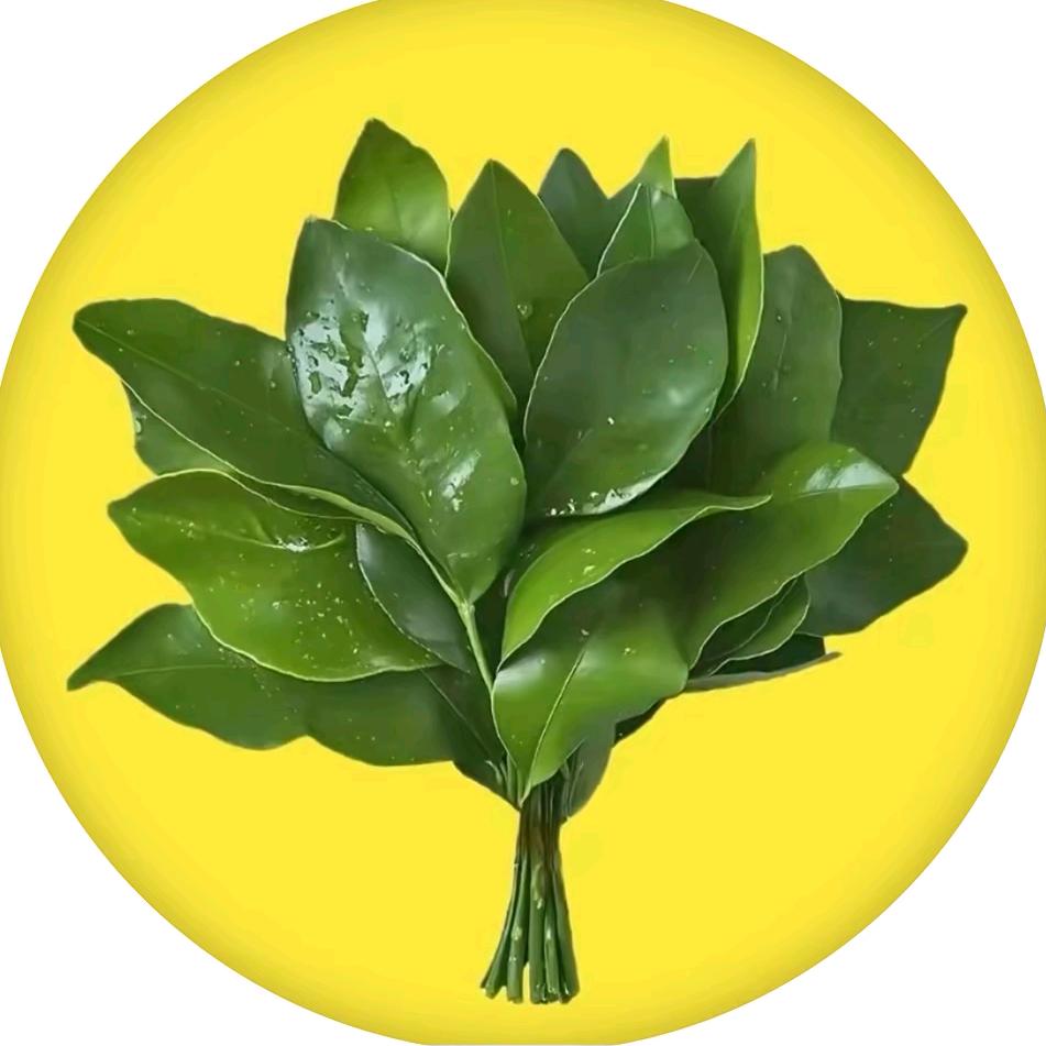 小幸运๑˙❥˙๑🍀
