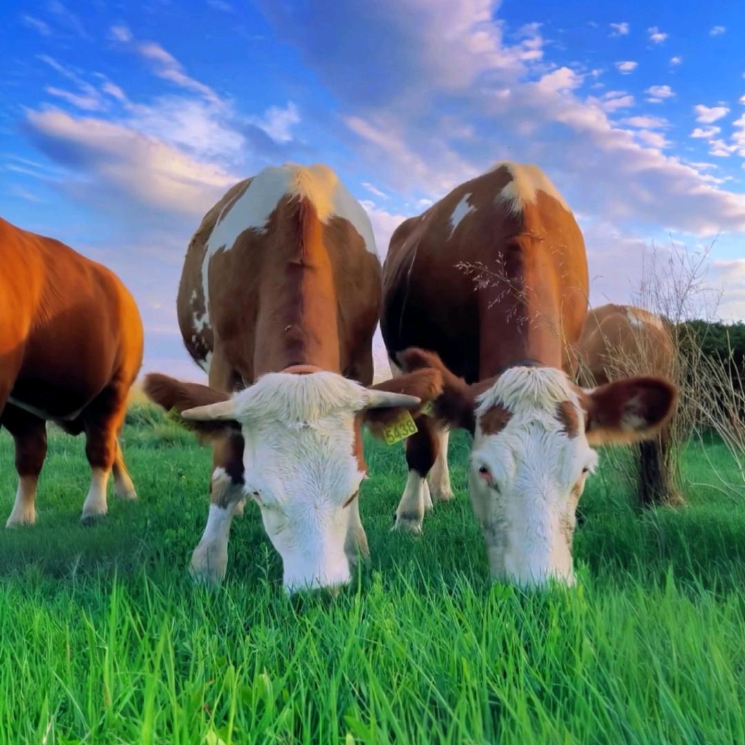 可可老公-北京出发自驾游摄影
