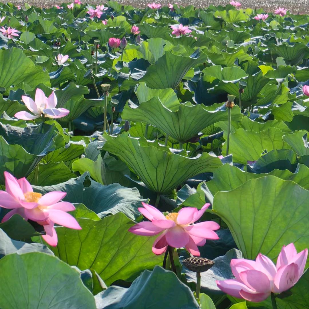 山水一程