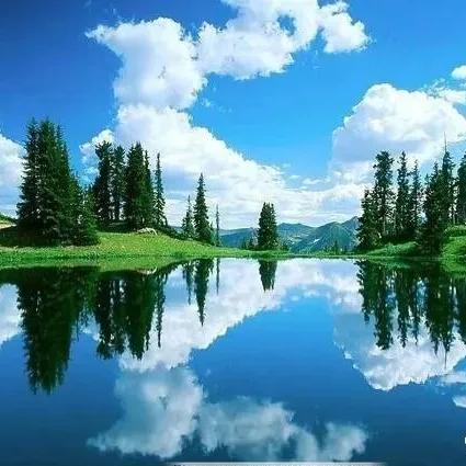 騎到恐龍去買菜