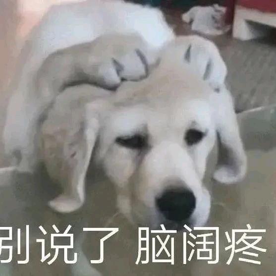 陈黑皮（暗区突围老六）