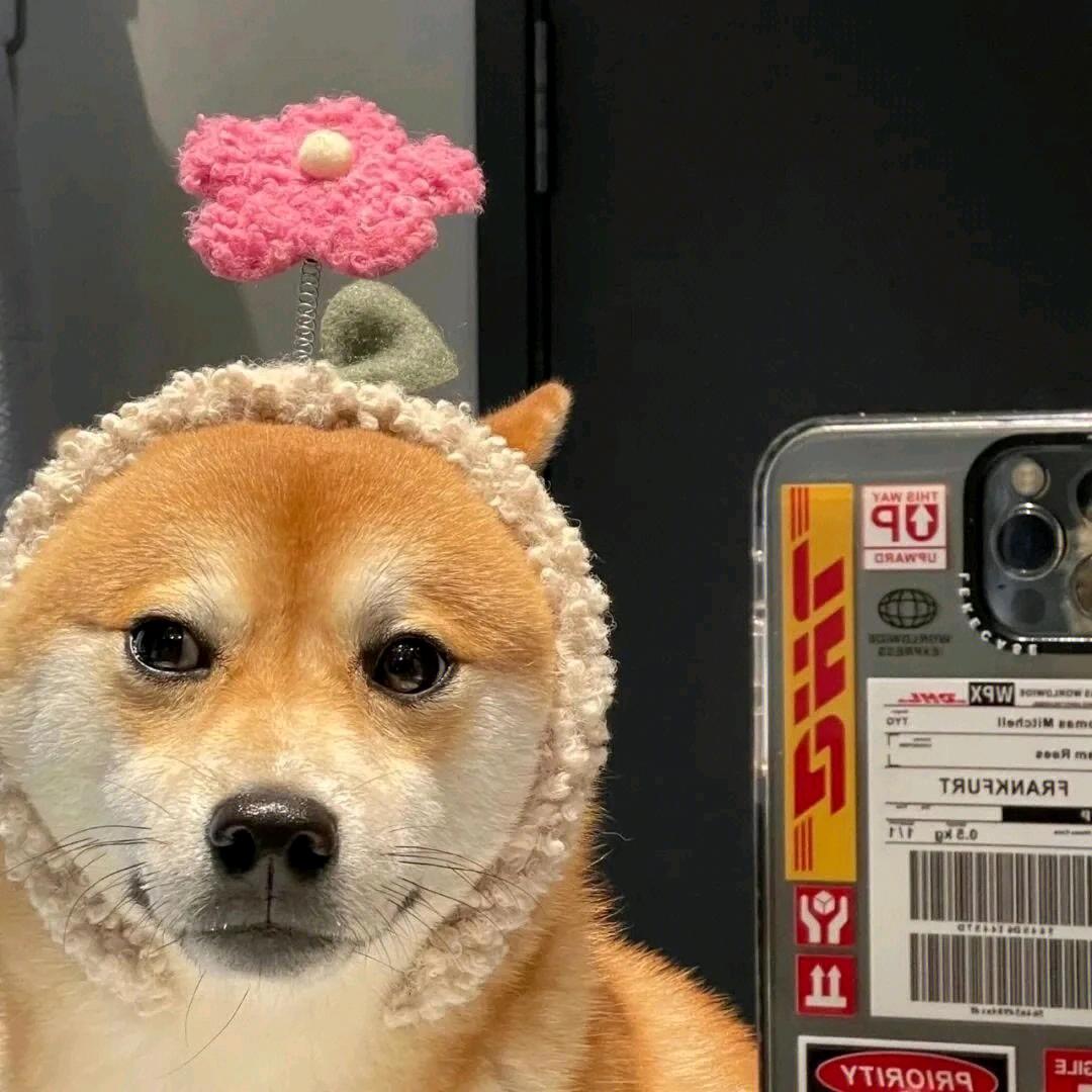 😊